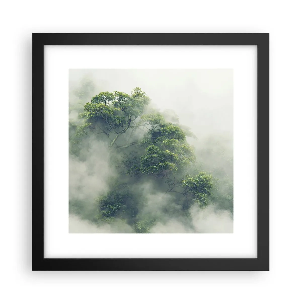 Poster in black frame - Wrapped In Fog - 30x30 cm