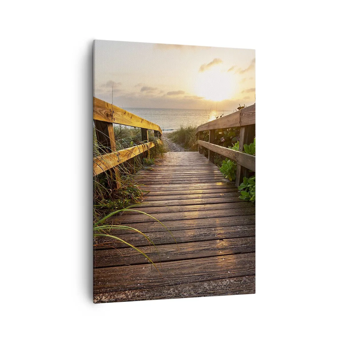 Canvas picture - Straigh to the Shore - 70x100 cm