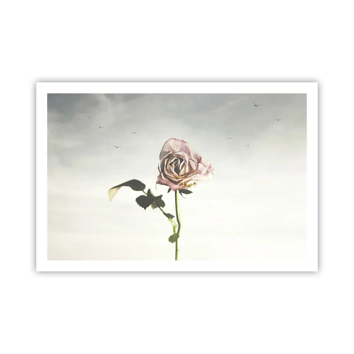 Poster - Welcoming of Spring - 91x61 cm