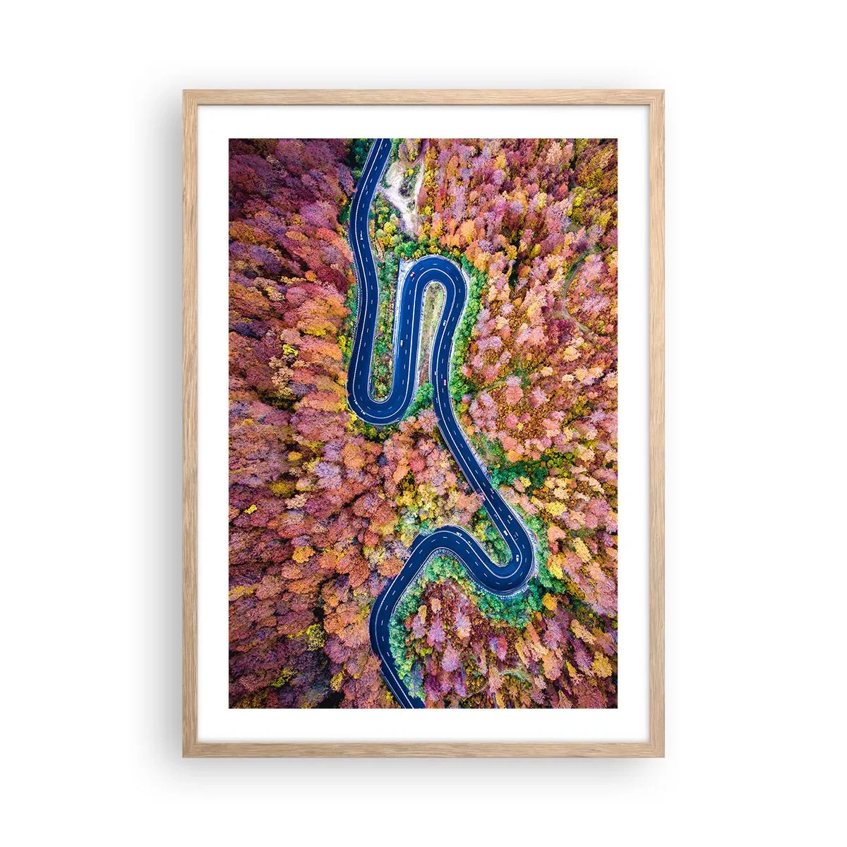 Poster in light oak frame - Winding Path through a Forest - 50x70 cm