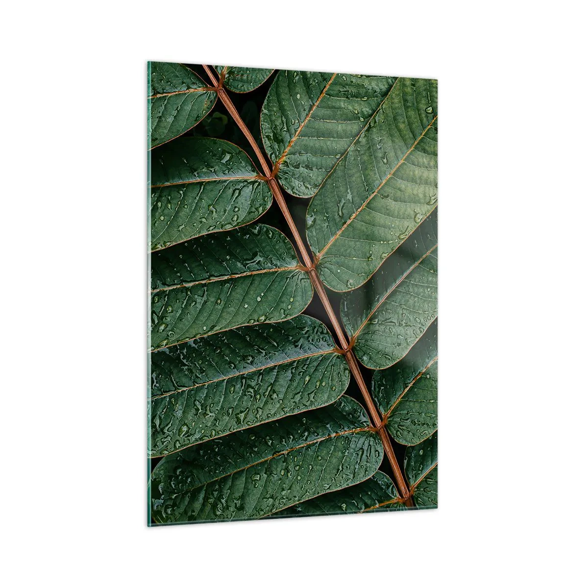 Glass picture - In Green Rhythm - 50x70 cm