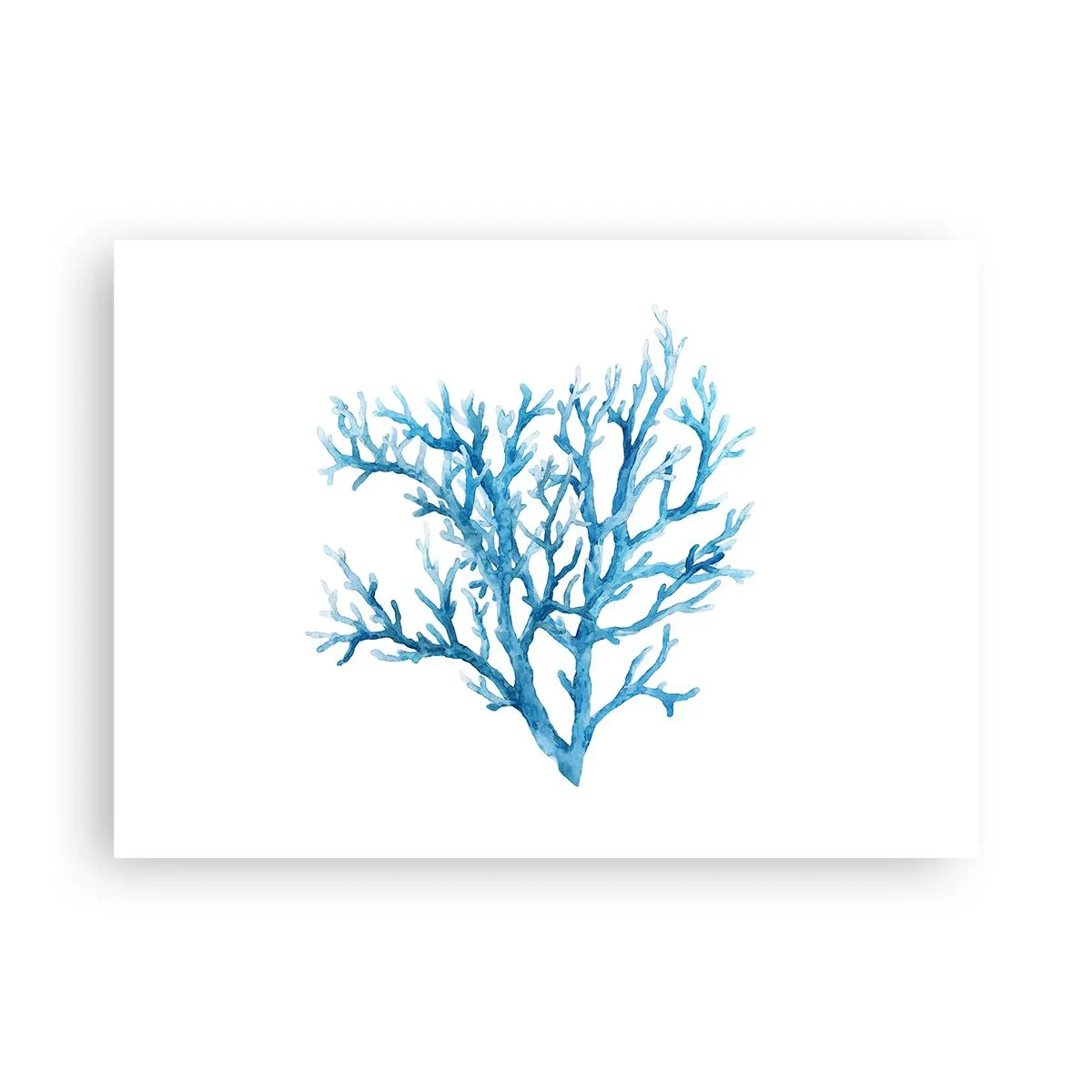 Poster - Sea Filigree - 70x50 cm