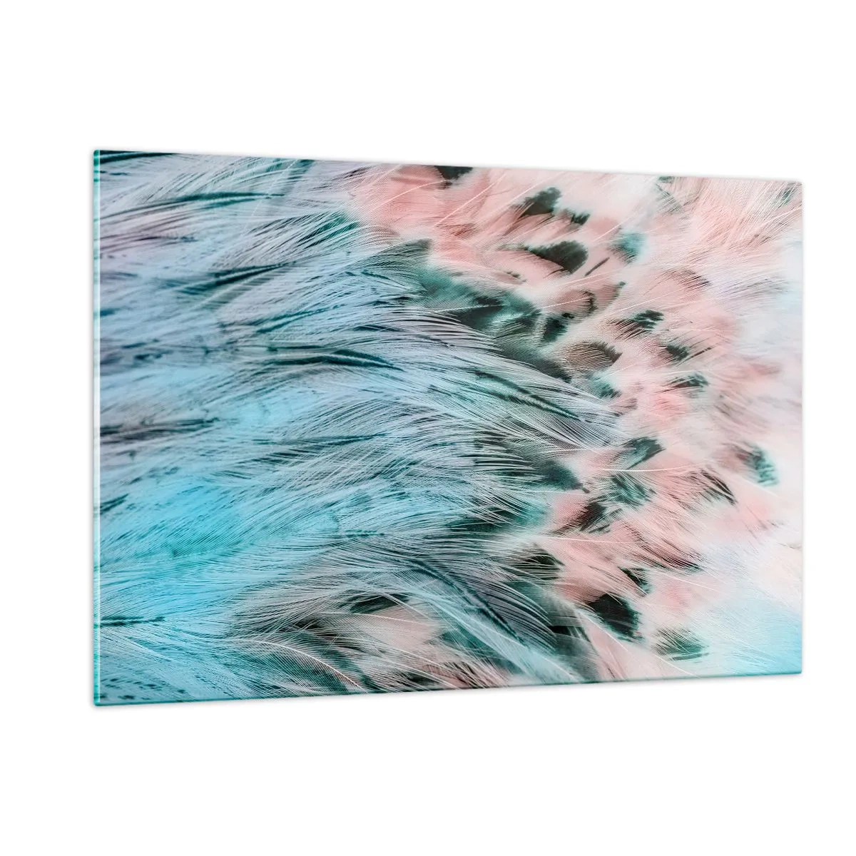 Glass picture - Sapphire and Pink Feathers - 120x80 cm