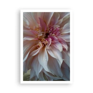 Poster - Blooming Freshness - 70x100 cm