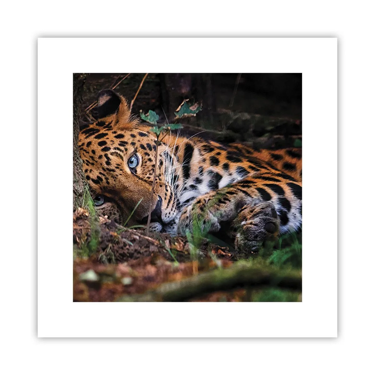 Poster - Trust Me - 30x30 cm