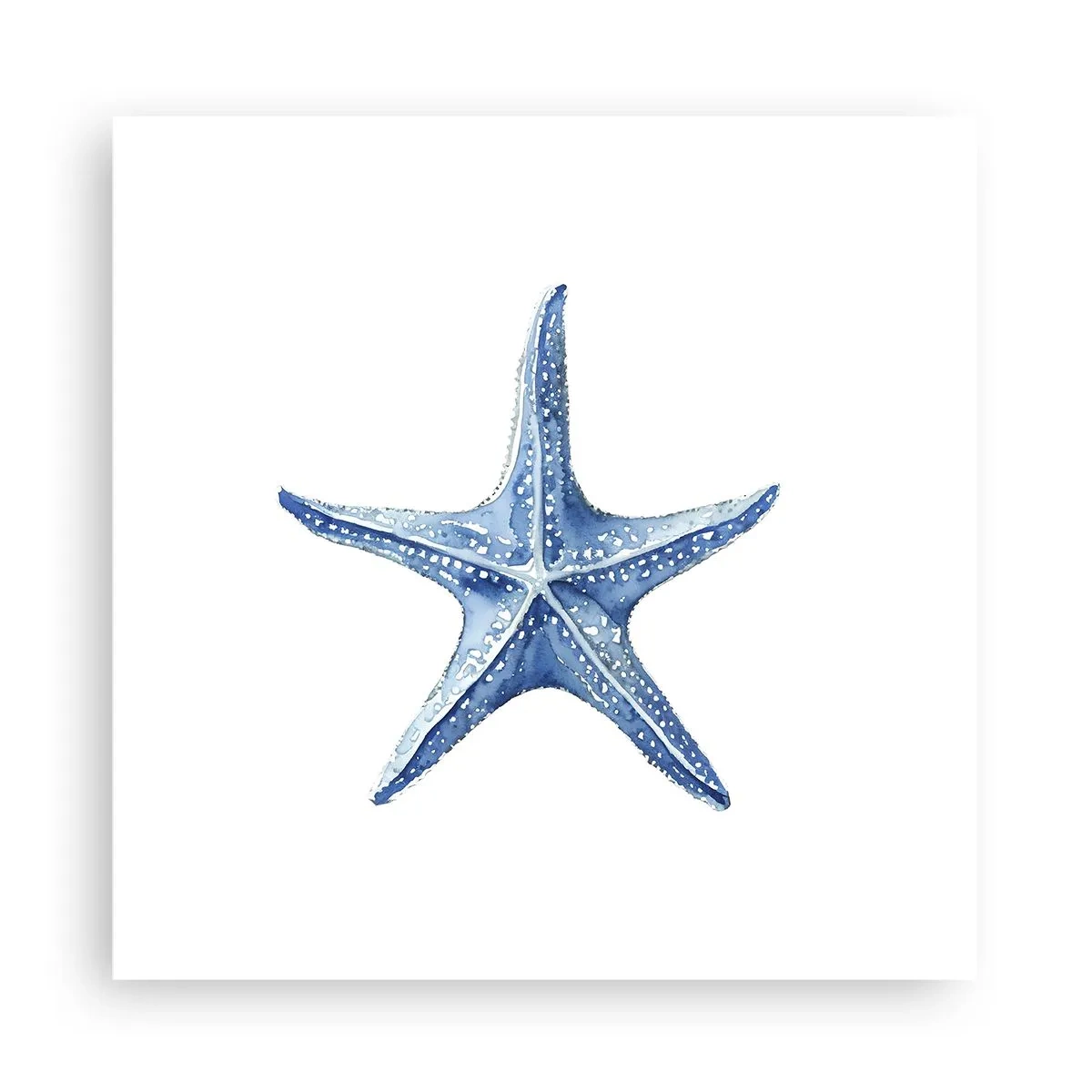 Poster - Sea Star - 30x30 cm