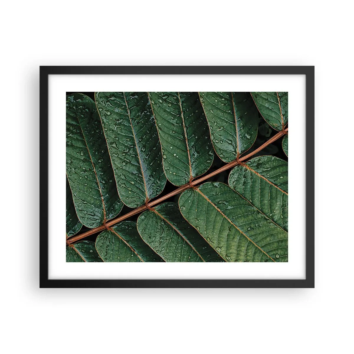 Poster in black frame - In Green Rhythm - 50x40 cm