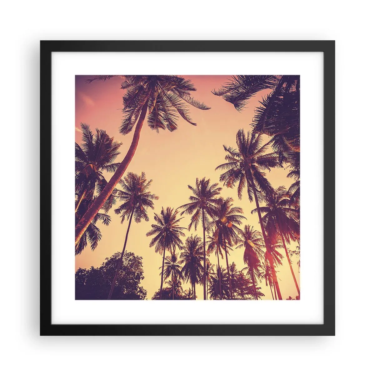 Poster in black frame - Tropical Variation - 40x40 cm