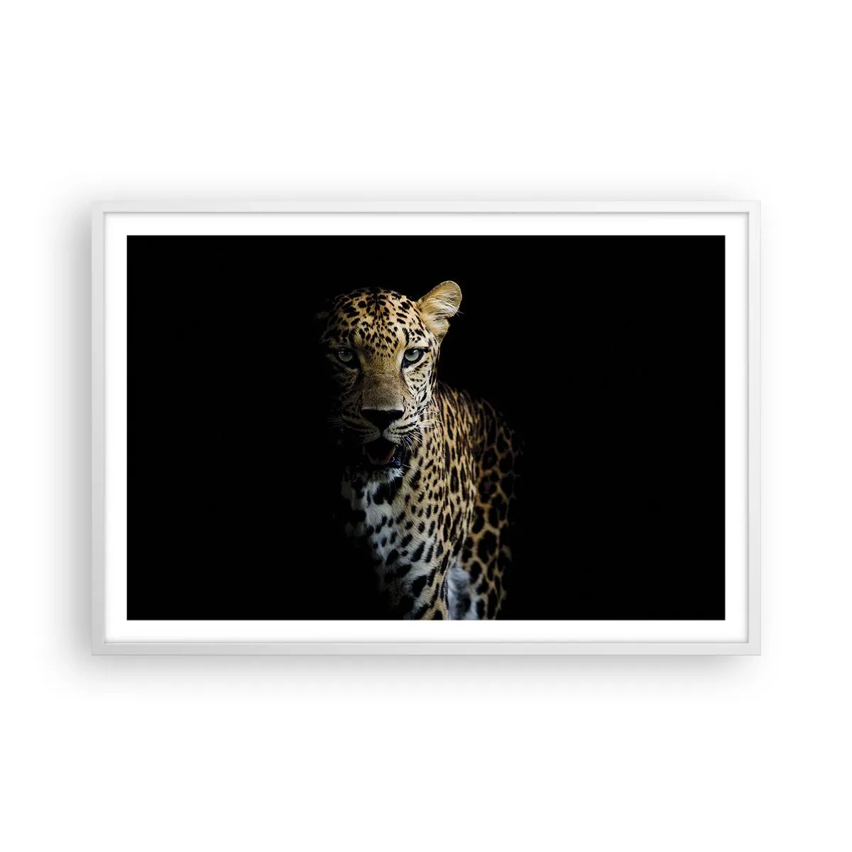 Poster in white frmae - Dark Beauty - 91x61 cm