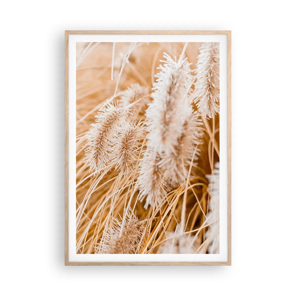 Poster in light oak frame - Golden Rustling of Grass - 70x100 cm