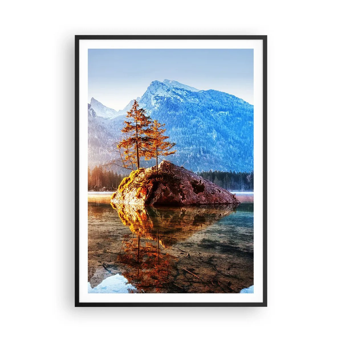 Poster in black frame - Nature in New Light - 70x100 cm