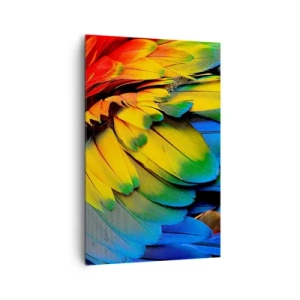 Canvas picture - Bird Of Paradise - 80x120 cm