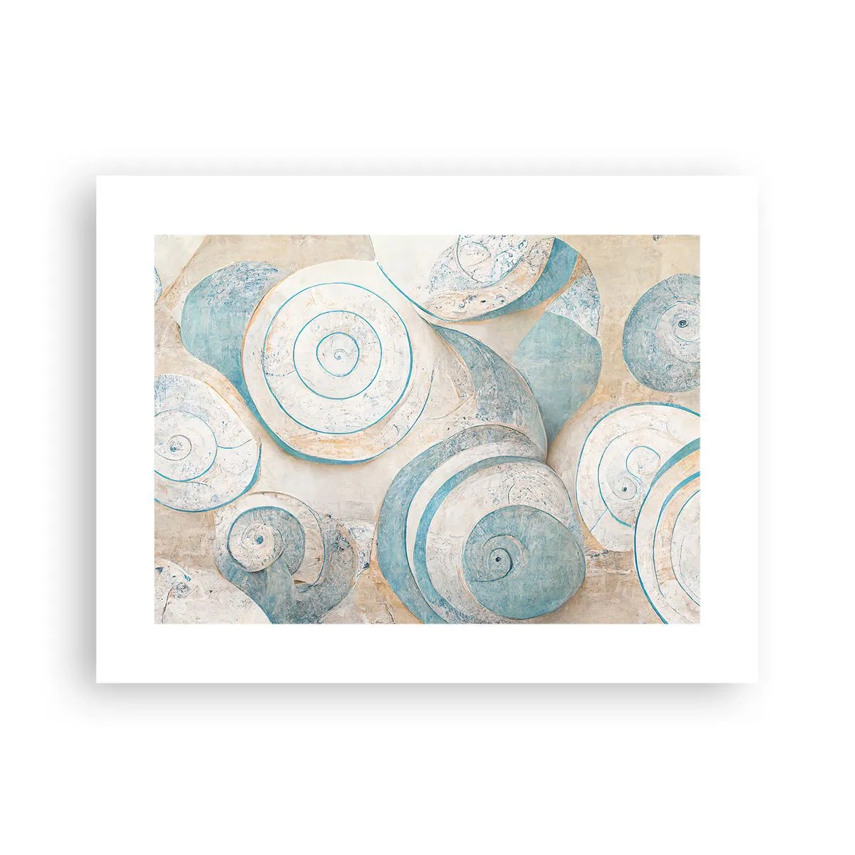 Poster - What Does a Shell Hide? - 40x30 cm