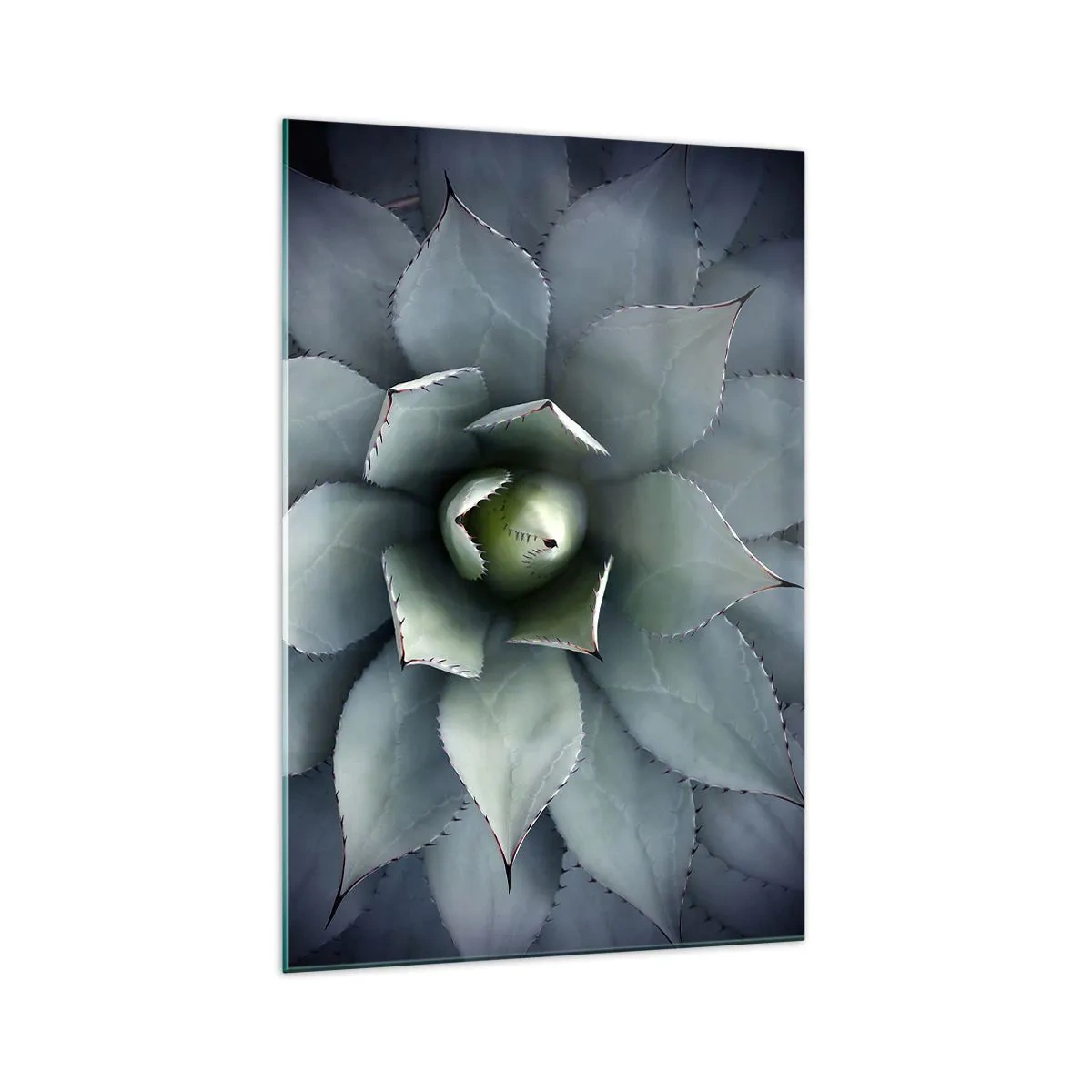 Glass picture - Attracts and Warns - 70x100 cm