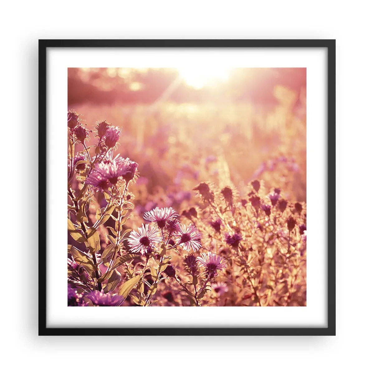 Poster in black frame - Before Summer Goes - 50x50 cm