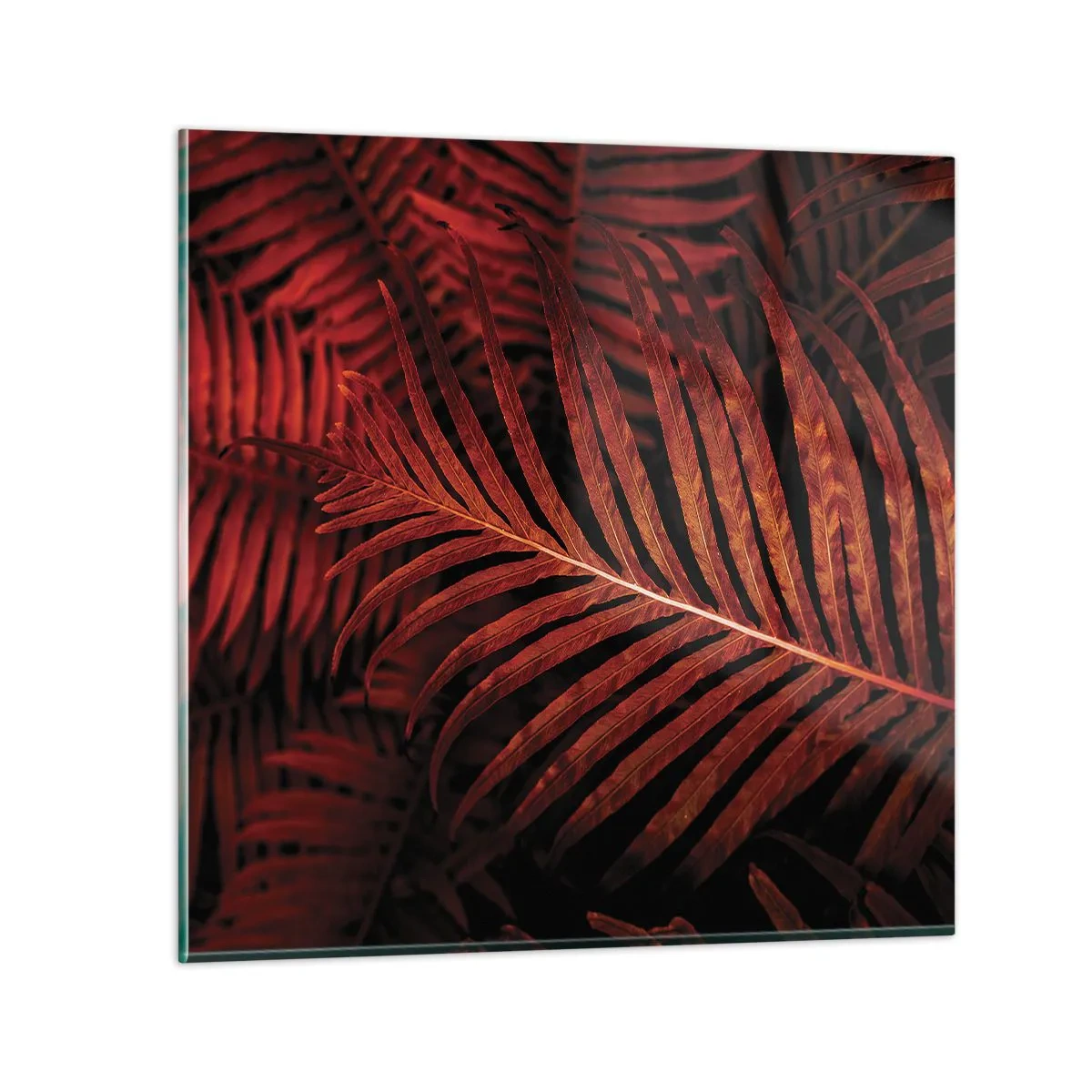 Glass picture - Heat of Life - 40x40 cm