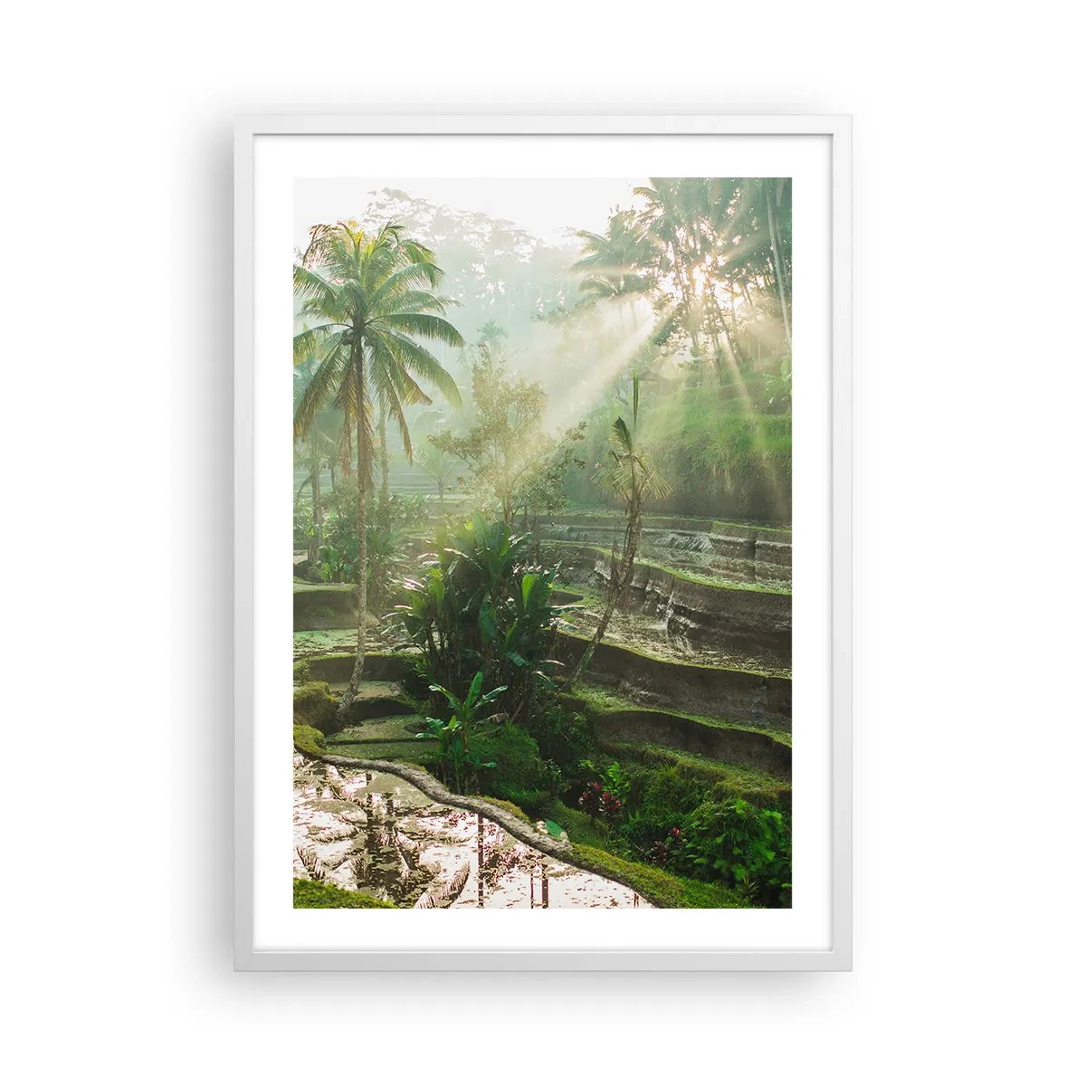 Poster in white frmae - Maturing in the Sun - 50x70 cm