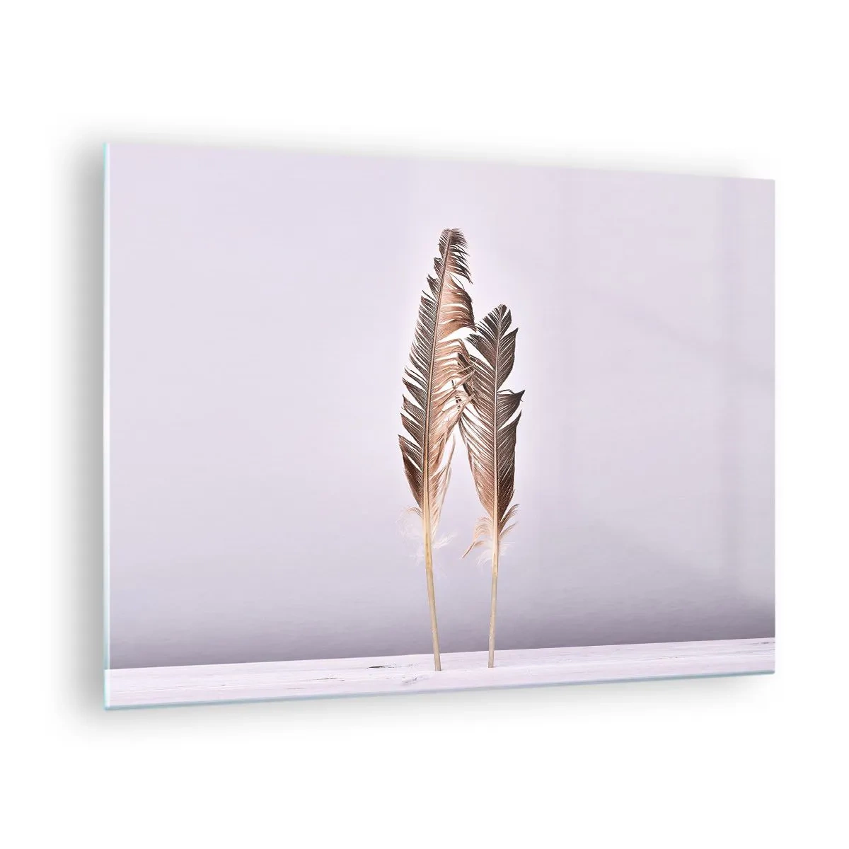 Glass picture - Two delicate feathers on a light background - 70x50cm - Against Nothingness - Modern wall decoration for the living room and bedroom ARTTOR