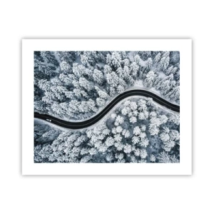 Poster - Through Wintery Forest - 50x40 cm