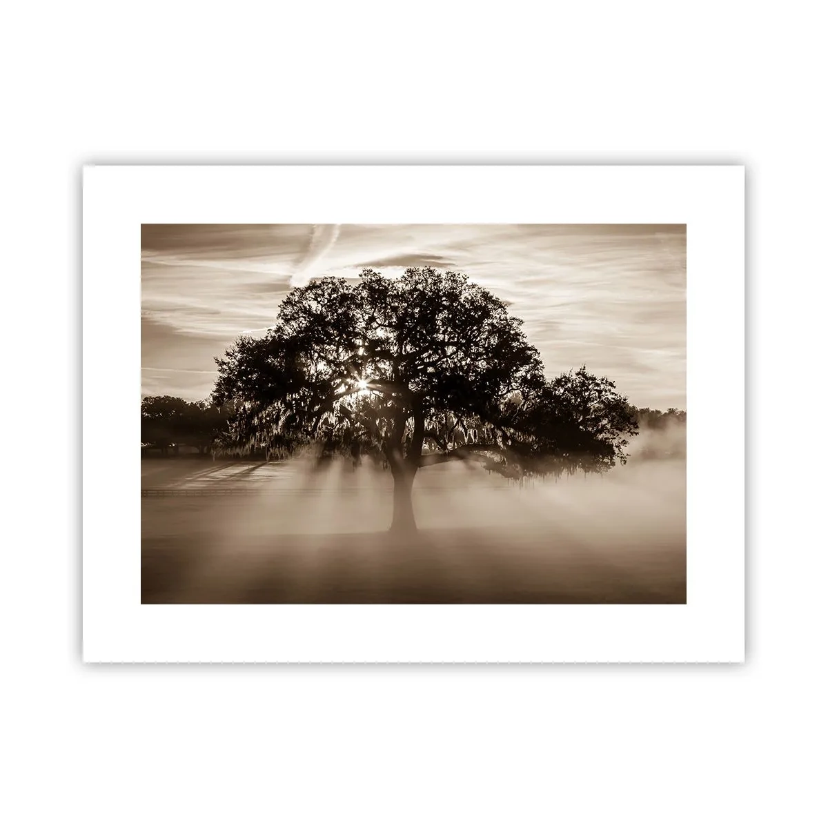 Poster - Tree of Good Knowledge - 40x30 cm