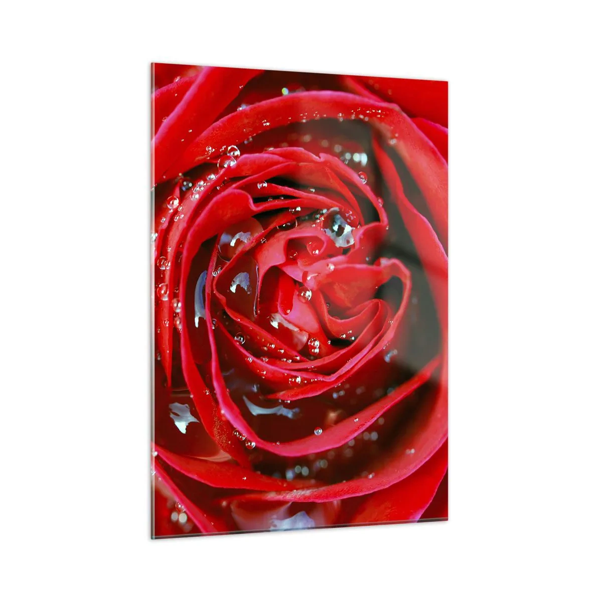 Glass picture - In Dew Drops - 50x70 cm