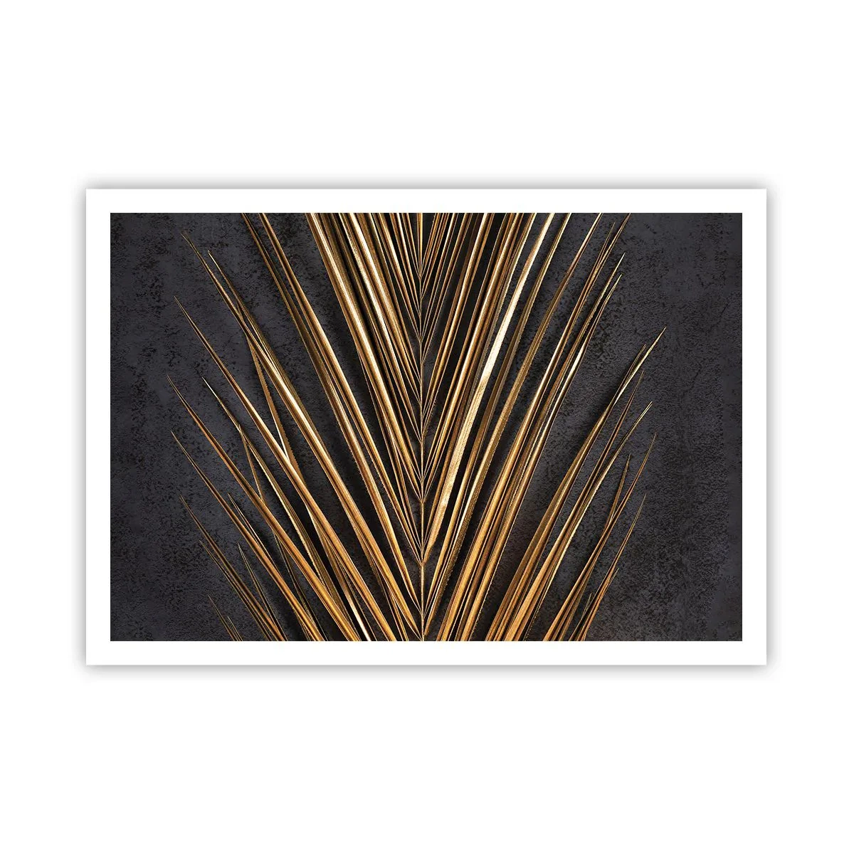 Poster - Gold of the Tropics - 100x70 cm