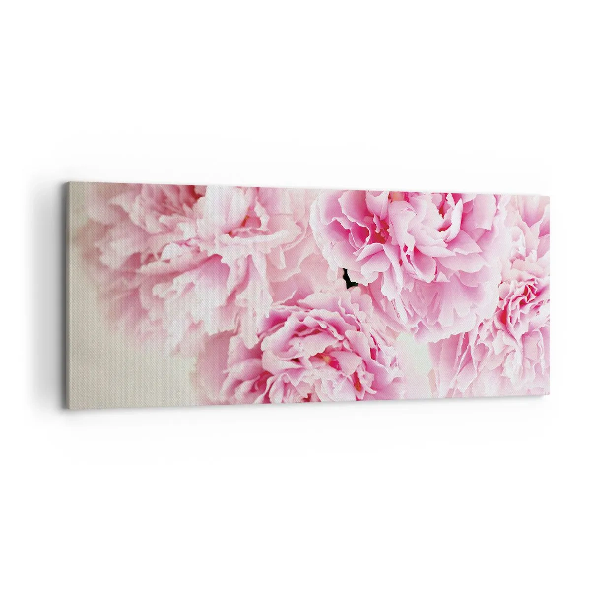 Canvas picture - In Pink Splendour - 100x40 cm