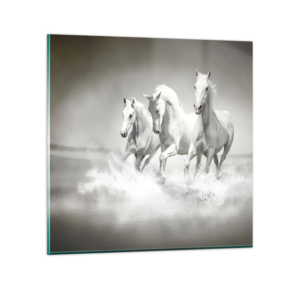 Glass picture - White Madness - 60x60 cm