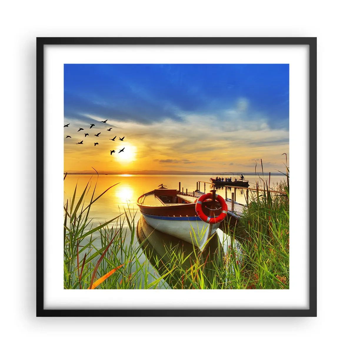 Poster in black frame - Cormorants Are Flying Away - 50x50 cm