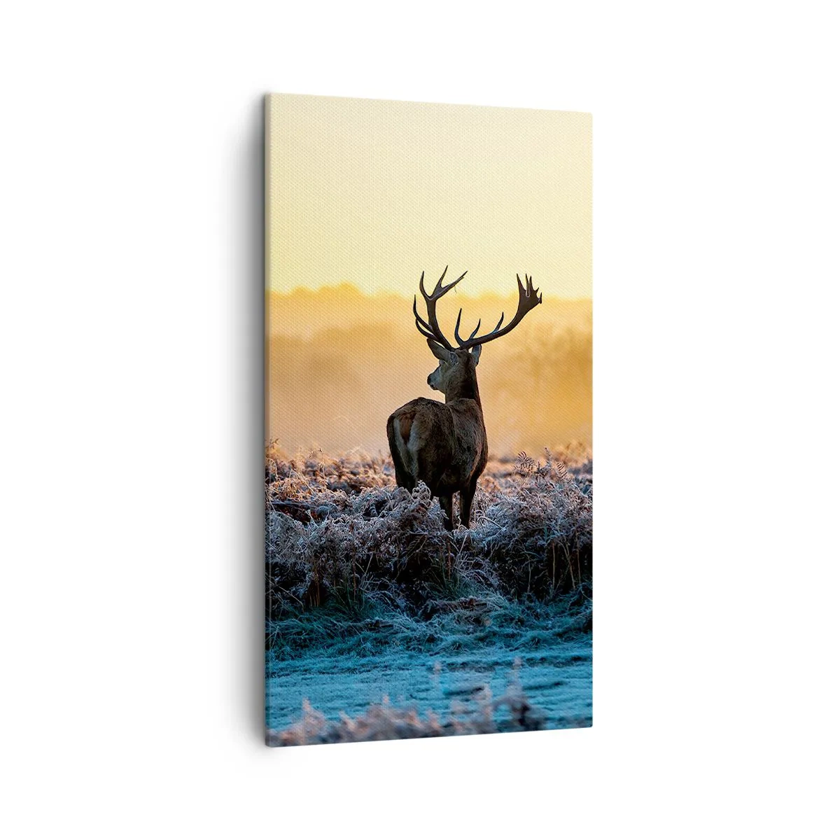 Canvas picture - Crowned in Its Kingdom - 45x80 cm