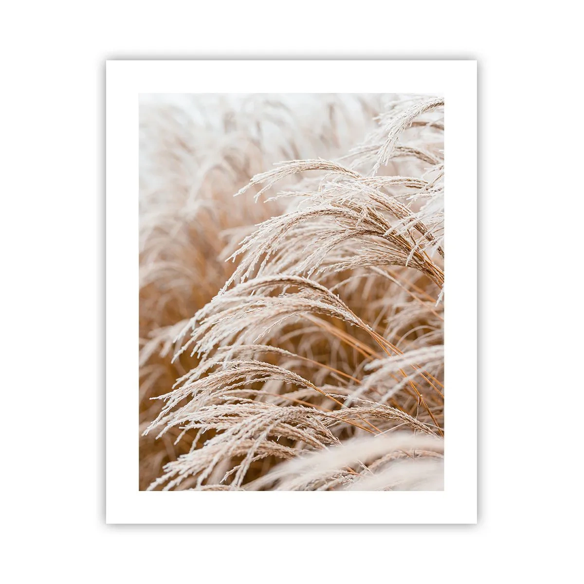 Poster - Bow to the Autumn Sun - 40x50 cm