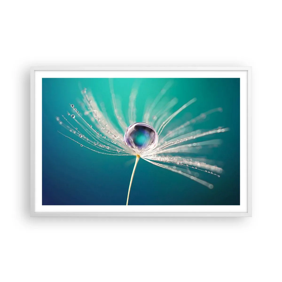 Poster in white frmae - Mystical Moment - 91x61 cm
