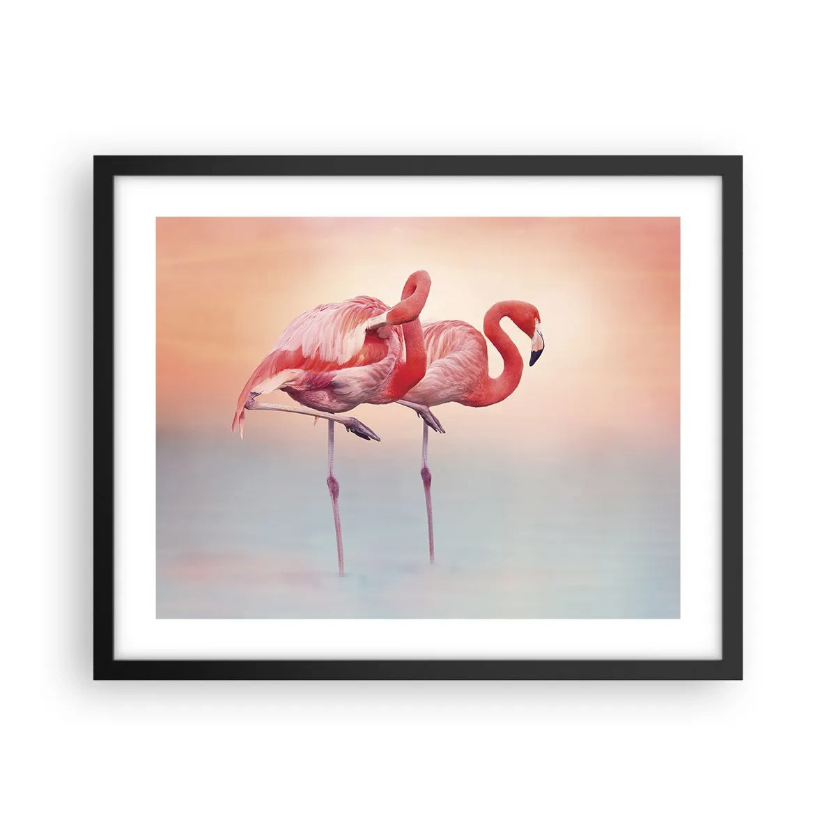 Poster in black frame - In the Colour Of Sunset - 50x40 cm