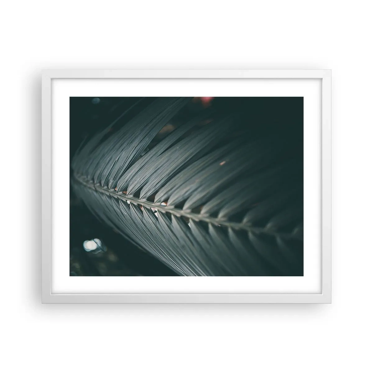 Poster in white frmae - Precision of Nature - 50x40 cm