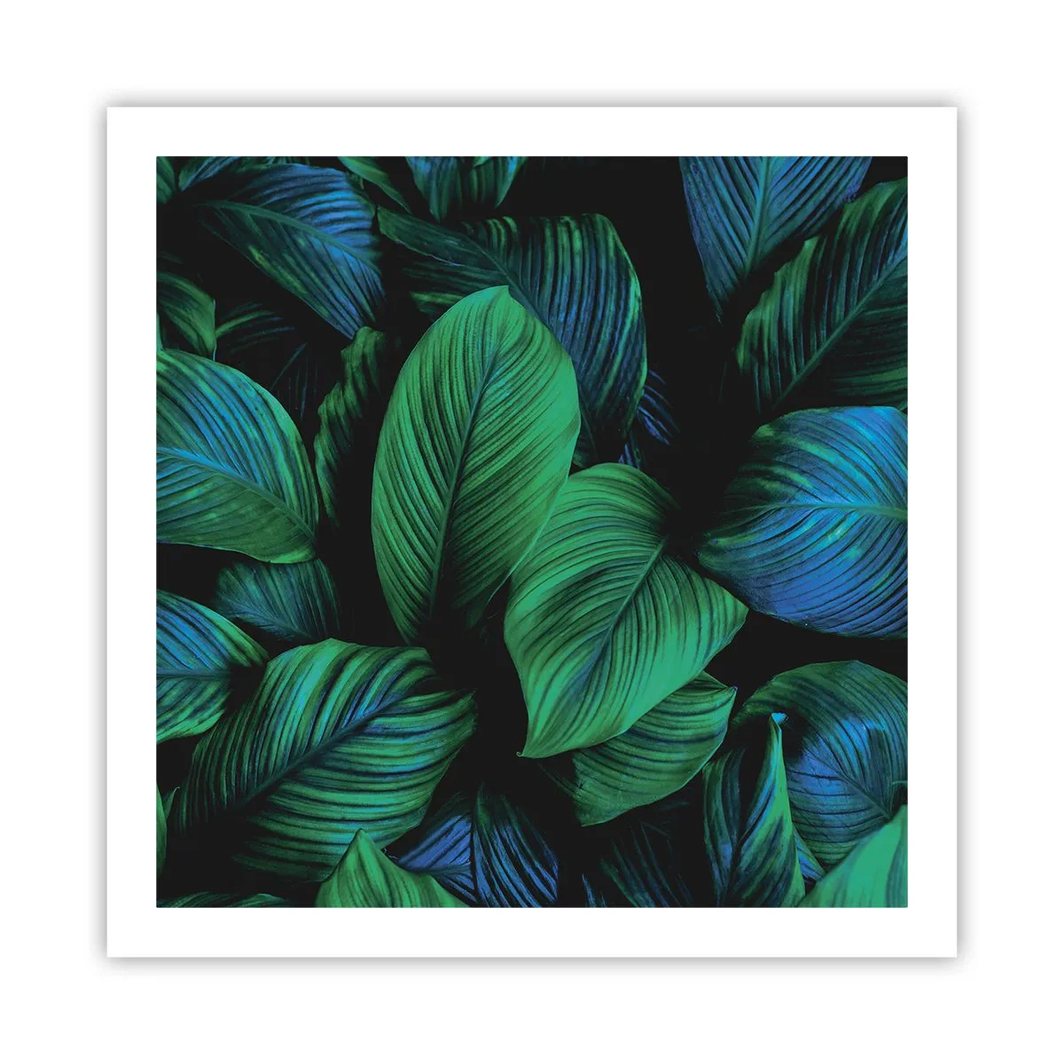 Poster - In a Green Crowd - 60x60 cm