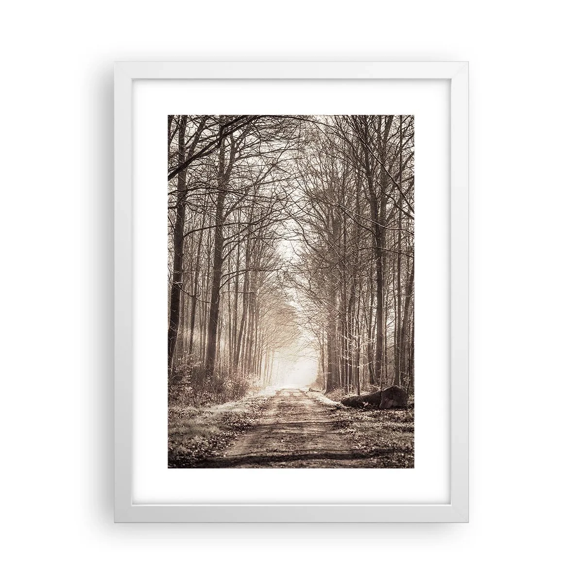 Poster in white frmae - Cathedral of the Forest - 30x40 cm