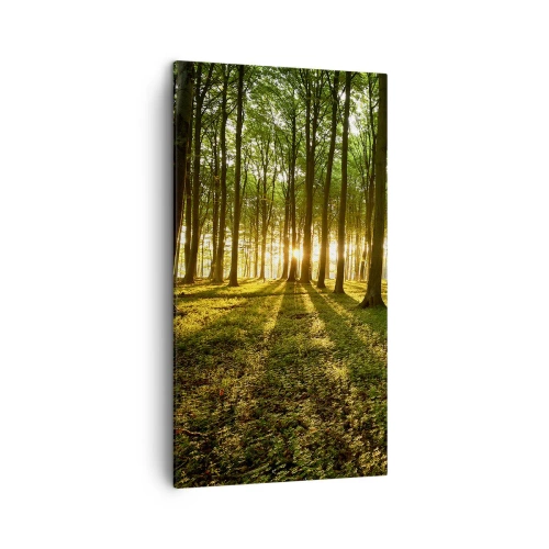 Canvas picture - Photography of All Springs - 45x80 cm