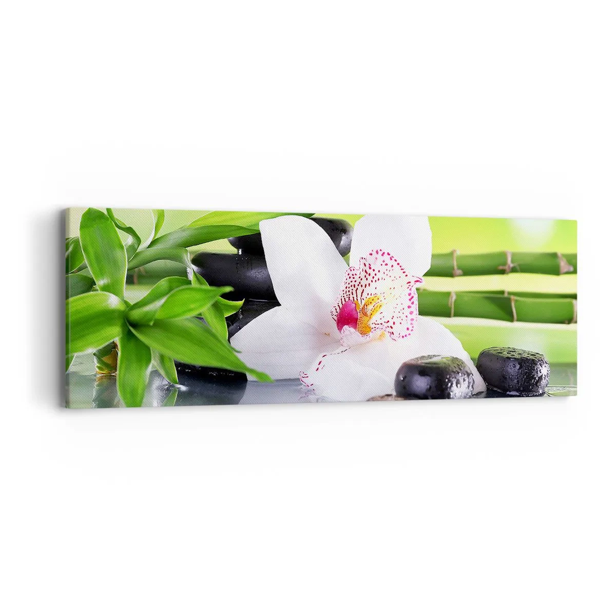 Canvas picture - Cool Freshness - 90x30 cm