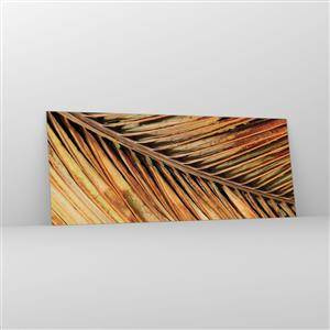 Glass picture - Coconut Gold - 100x40 cm
