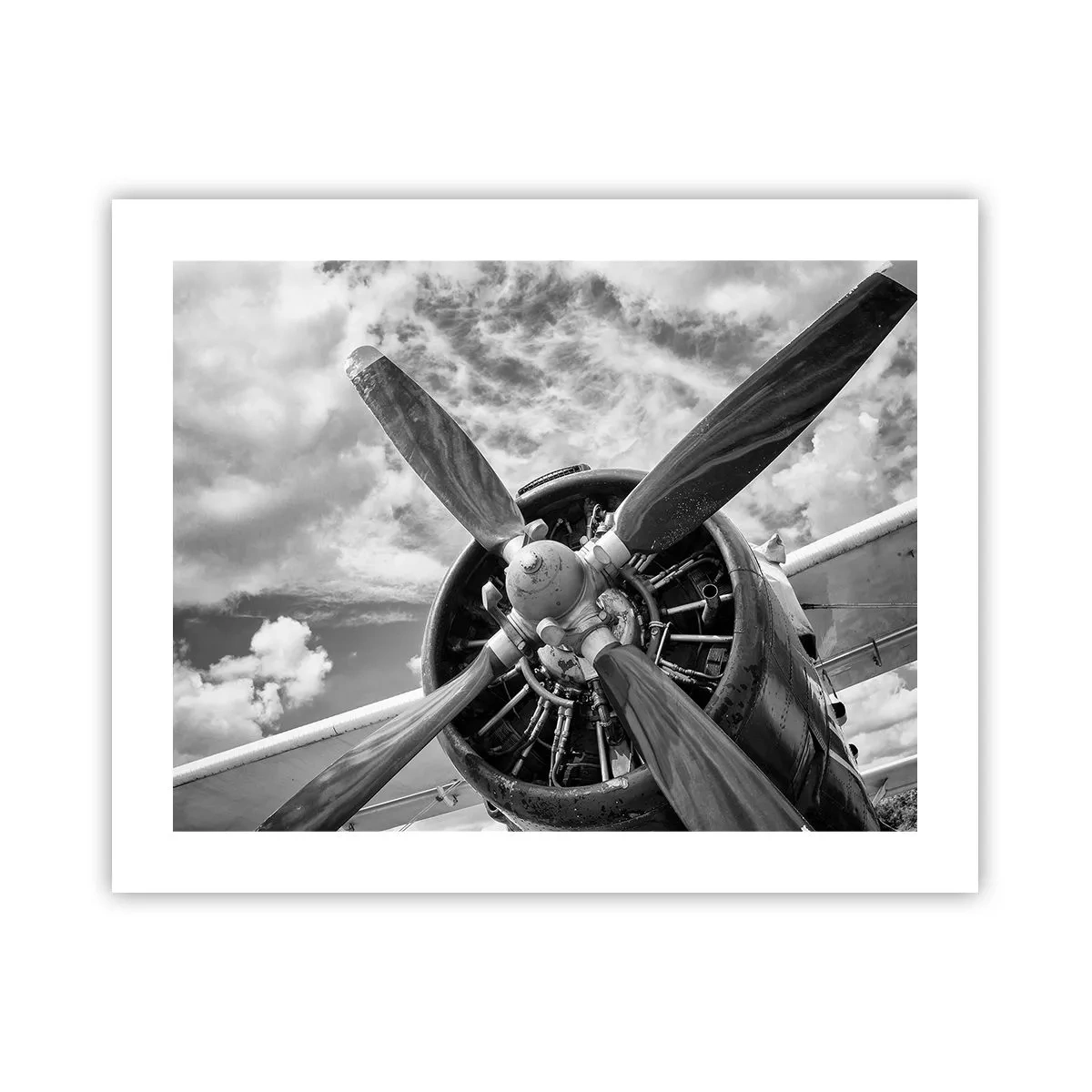 Poster - Conquerer of the Skies - 50x40 cm