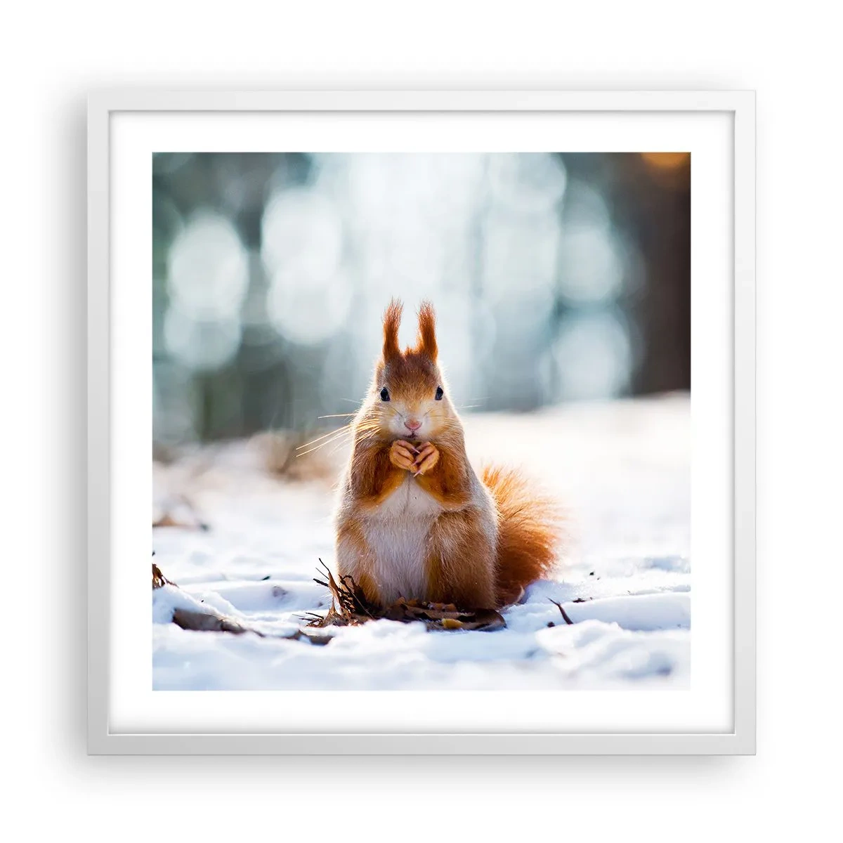 Poster in white frmae - What Are You Looking at? - 50x50 cm