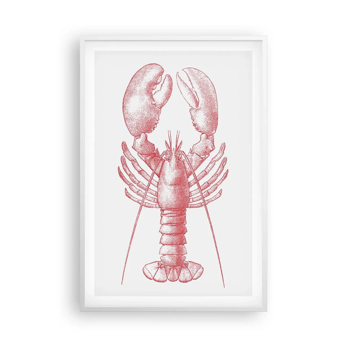 Poster in white frmae - Lobster Worthy of a Lobster - 61x91 cm