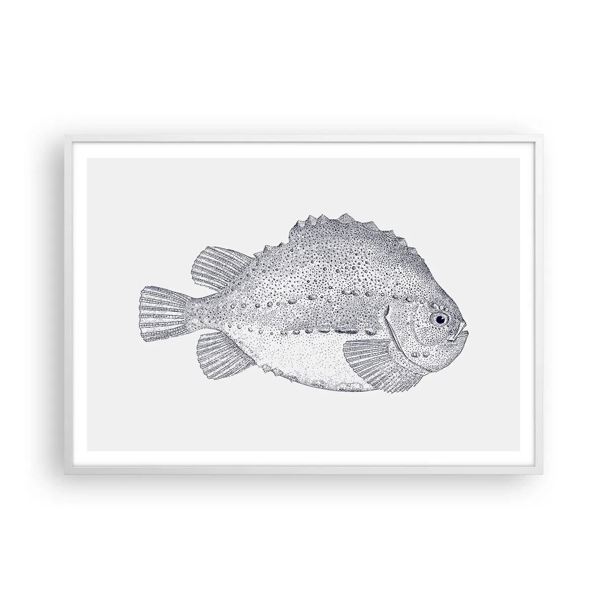 Poster in white frmae - For Natural Scientist's Album - 100x70 cm