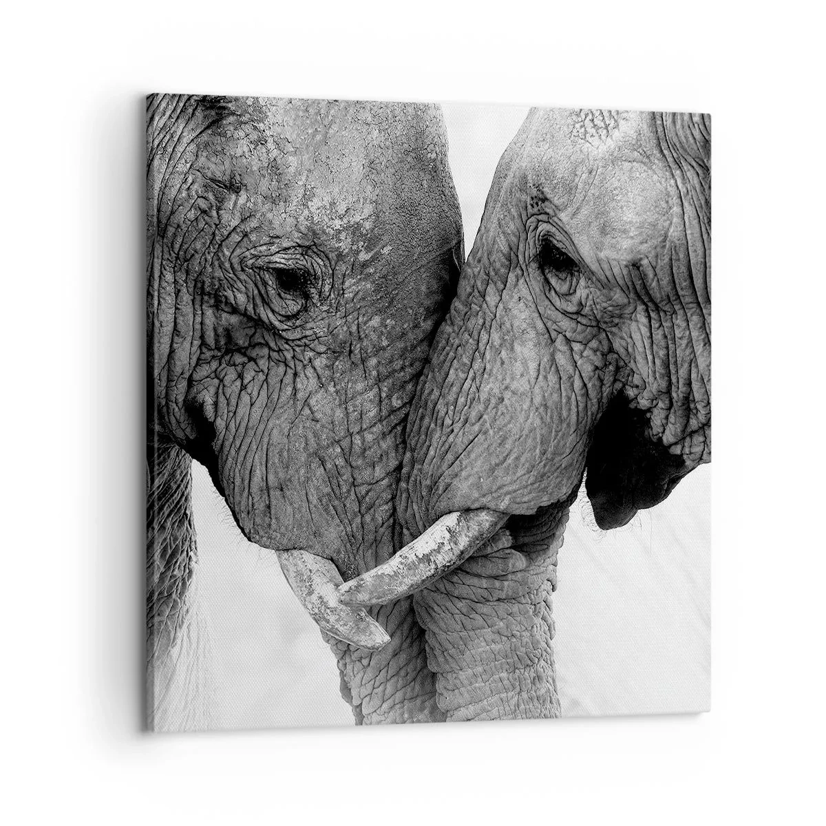 Canvas picture - Hearty Confession - 60x60 cm