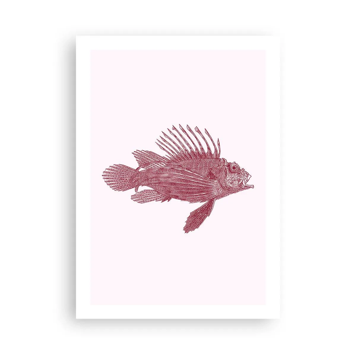 Poster - Dweller of Exotic Waters - 50x70 cm