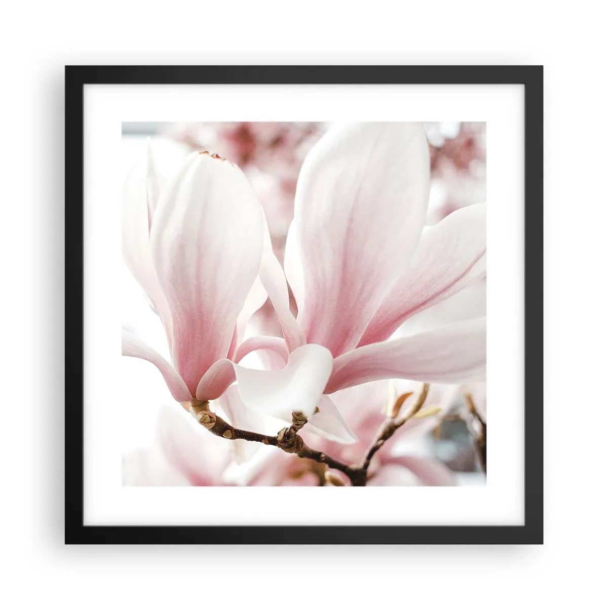 Poster in black frame - Immensity of Tenderness - 40x40 cm