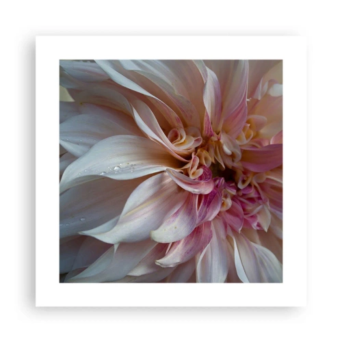 Poster - Blooming Freshness - 40x40 cm