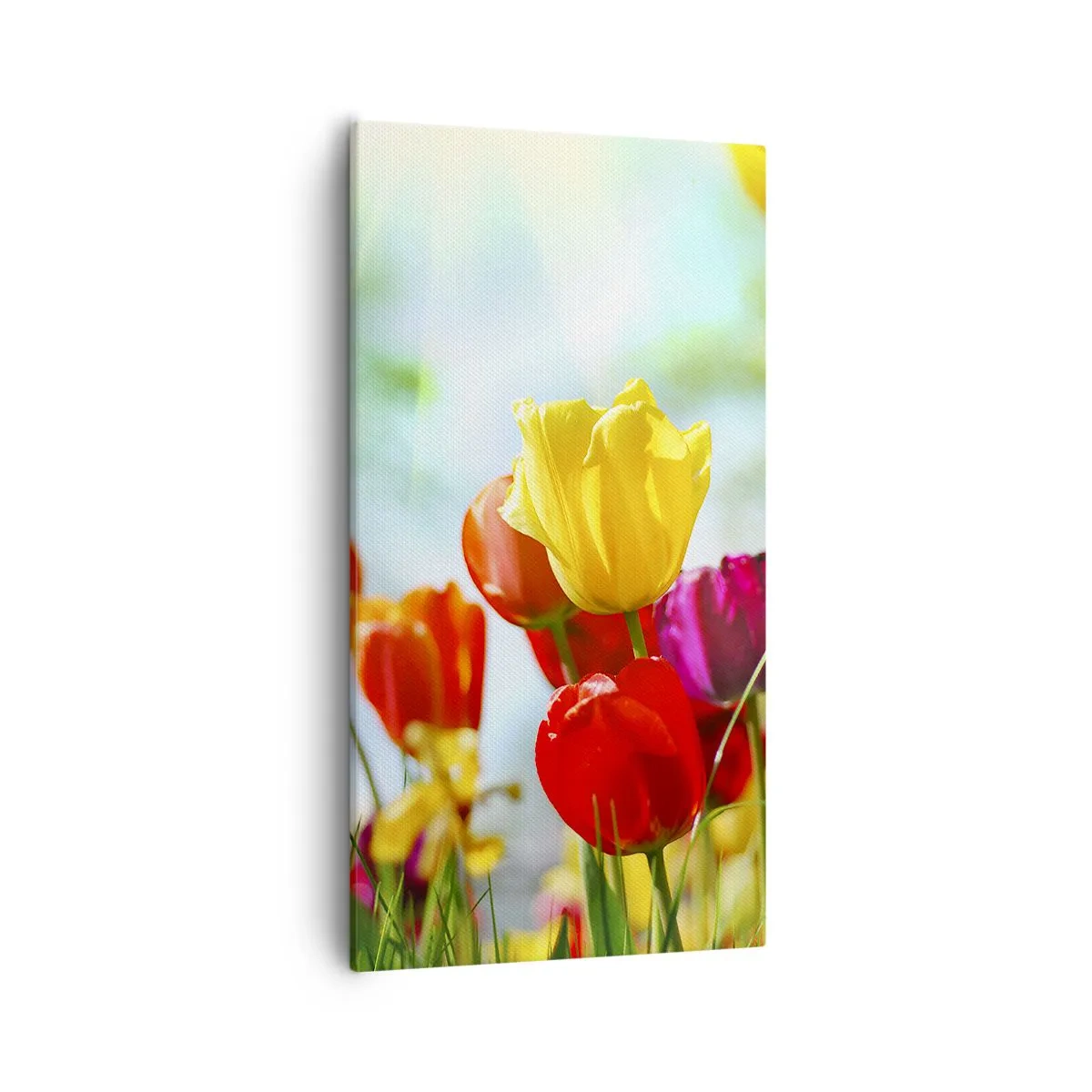 Canvas picture - All Colours of the Sun - 55x100 cm