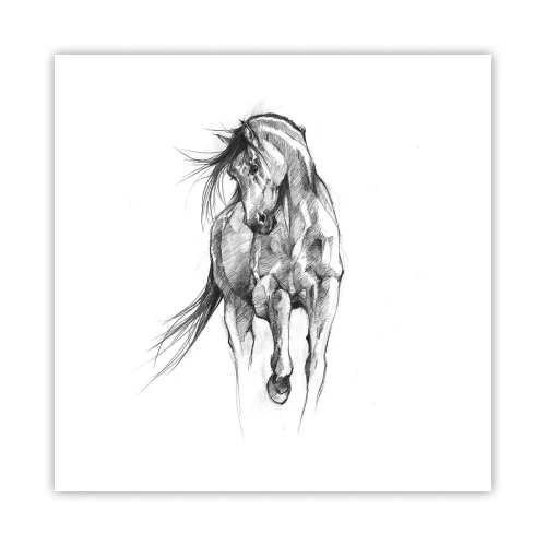 Poster - In a Graceful Trot - 50x50 cm