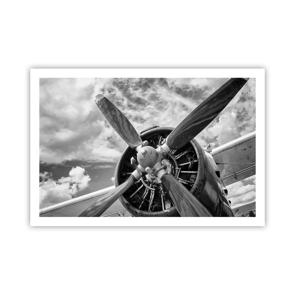 Poster - Conquerer of the Skies - 91x61 cm